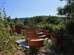 Maison isolée avec spa nordique, piscine et jardin privatif au cœur de la nature - FR-1-497-116